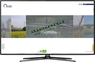 松江網(wǎng)站建設(shè) 如何打造引人入勝的商品圖相冊提升用戶體驗(yàn)